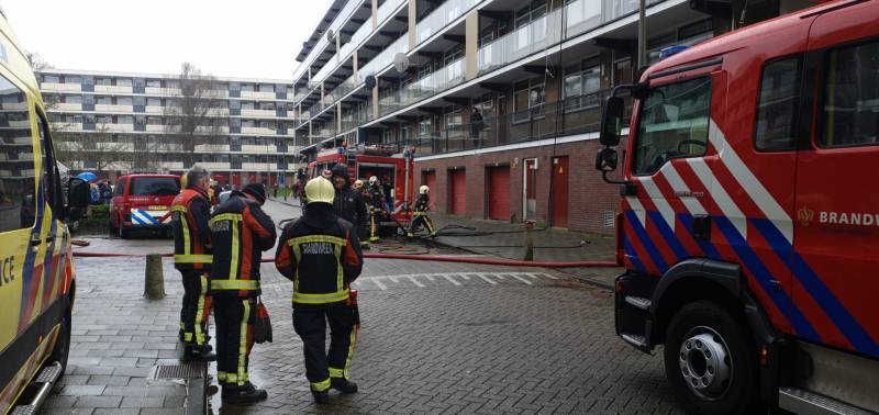 Brand in flatwoning