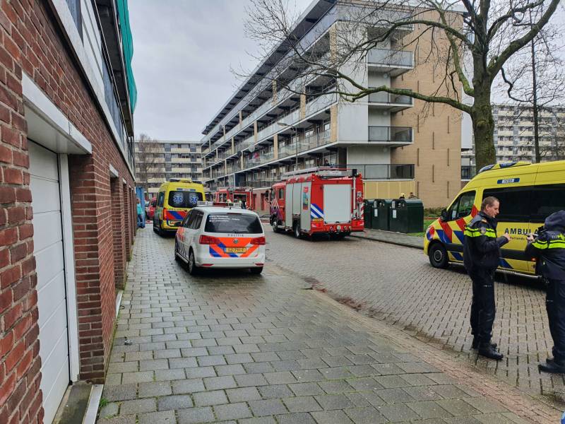 Brand in flatwoning