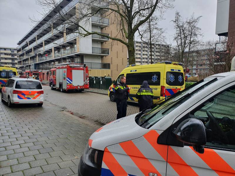 Brand in flatwoning