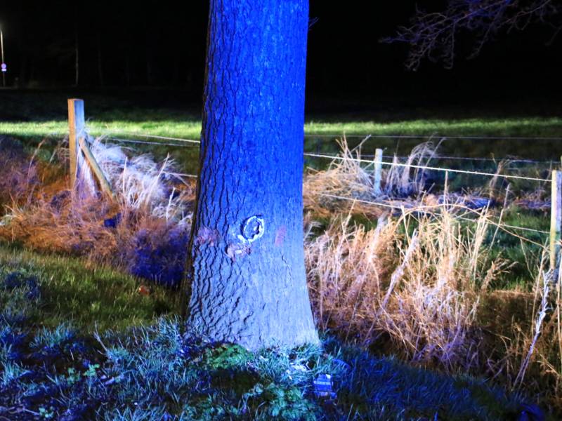 Motorrijder zwaargewond na botsing op bomen