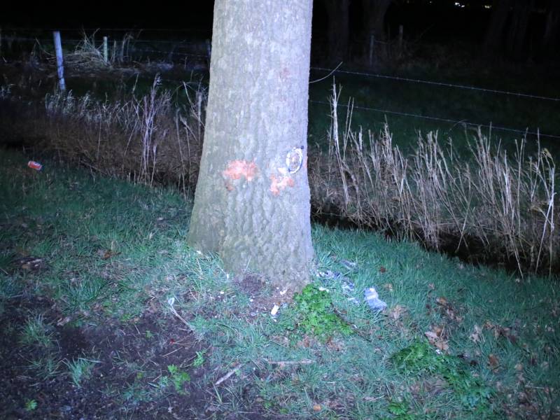 Motorrijder zwaargewond na botsing op bomen