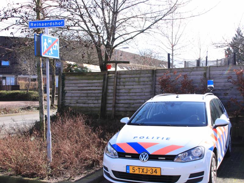 Aanhoudingen bij aangetroffen hennepkwekerijen