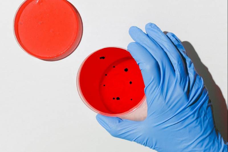 Man (86) in ziekenhuis overleden aan coronavirus