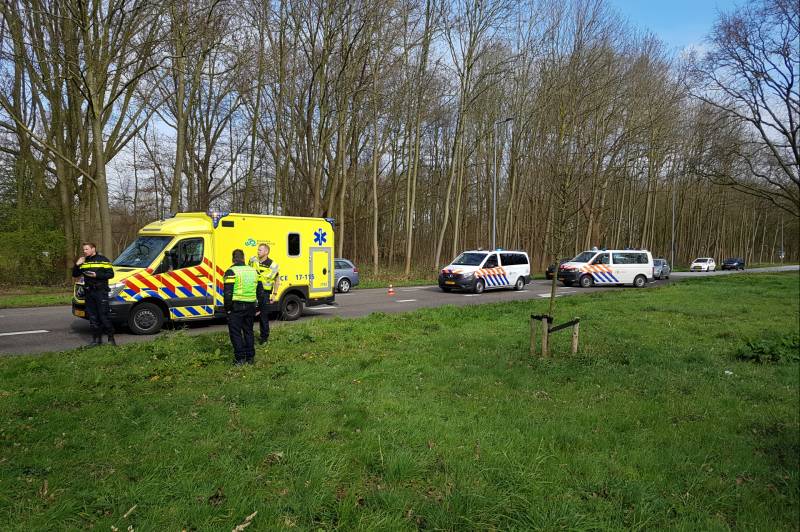 Bestelbus raakt van de weg en belandt tegen een boom