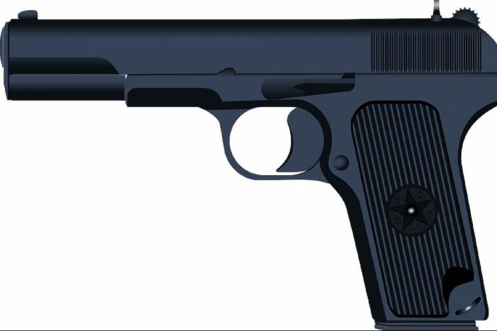 Vier mannen aangehouden na aantreffen alarmpistool in woning