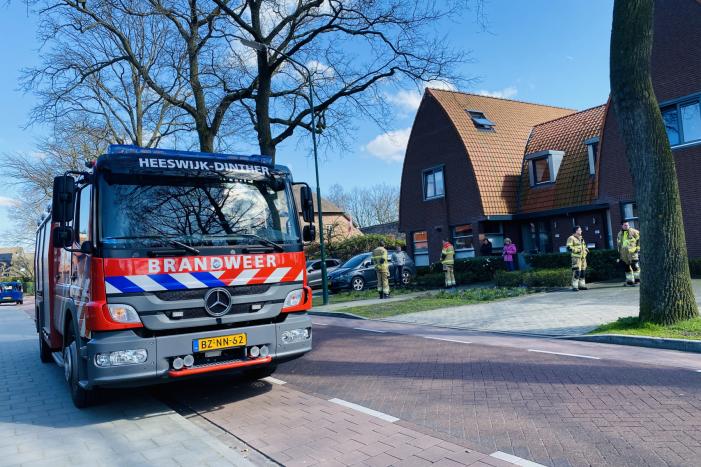 Kat kiest hazenpad na reddingsactie brandweer