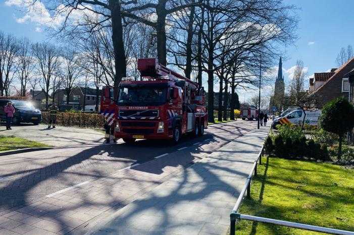 Kat kiest hazenpad na reddingsactie brandweer