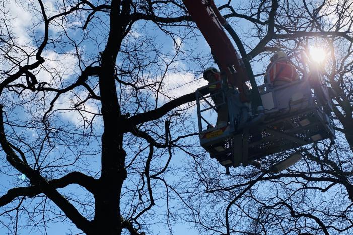 Kat kiest hazenpad na reddingsactie brandweer