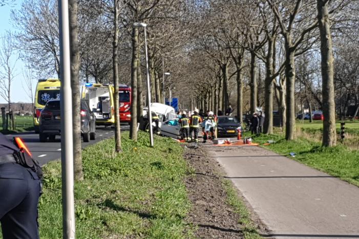 Bestelbus crasht frontaal tegen boom