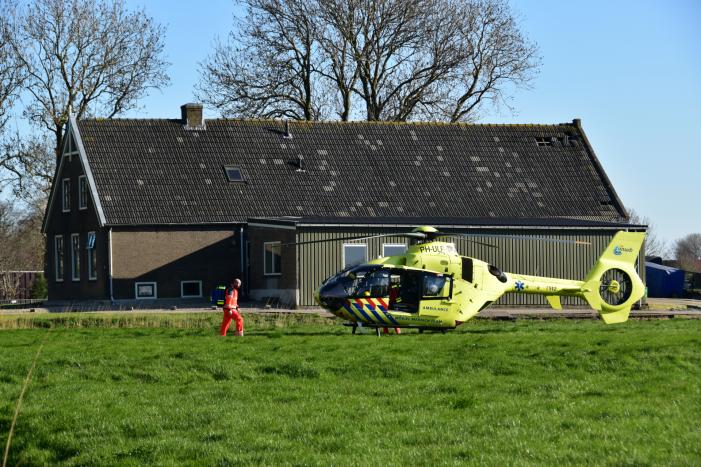 Bestelbus crasht frontaal tegen boom