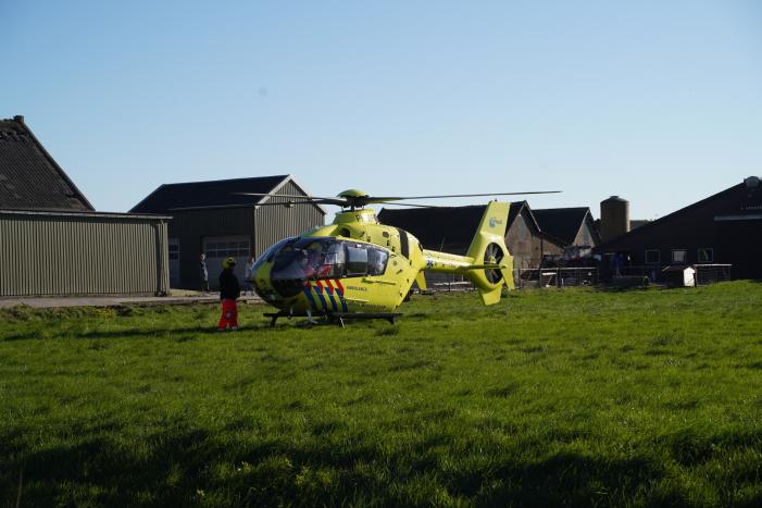 Bestelbus crasht frontaal tegen boom