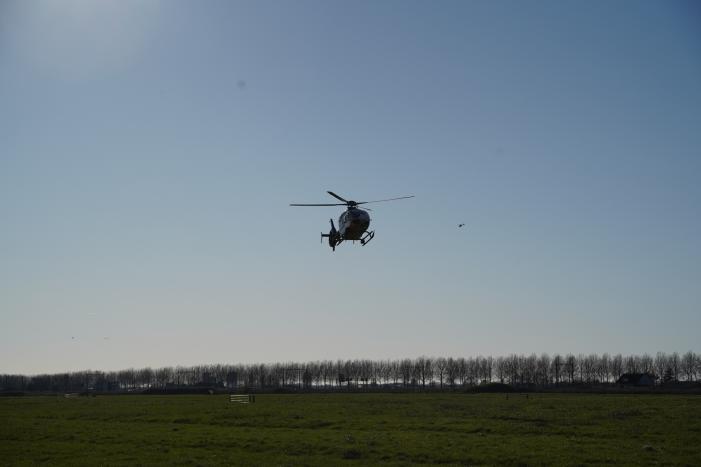 Bestelbus crasht frontaal tegen boom