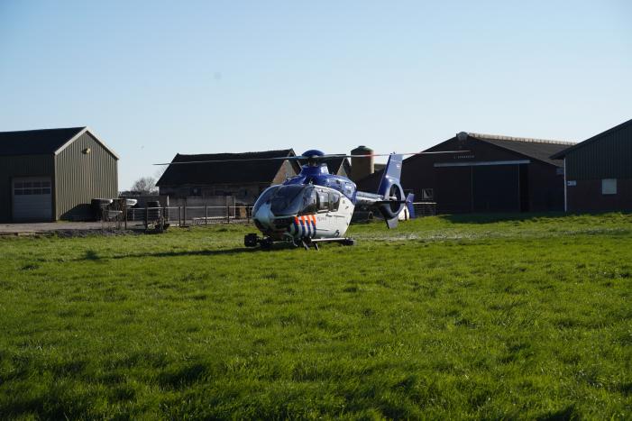 Bestelbus crasht frontaal tegen boom