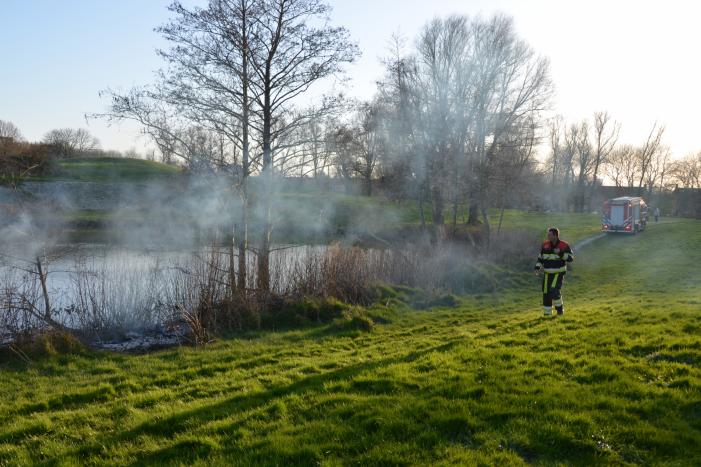 Bosschage in park in brand