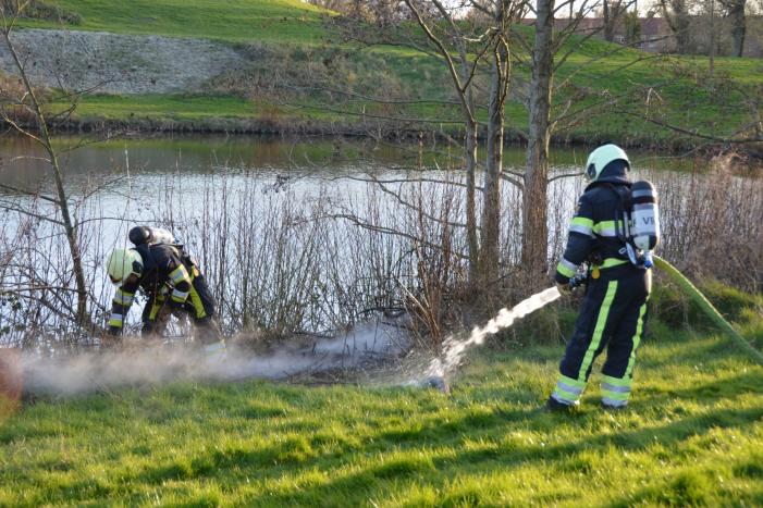 Bosschage in park in brand