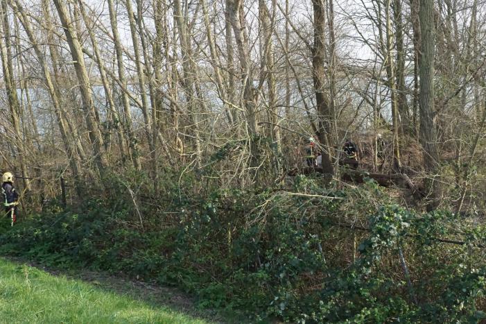 Bosschage langs rivier de Lek in brand