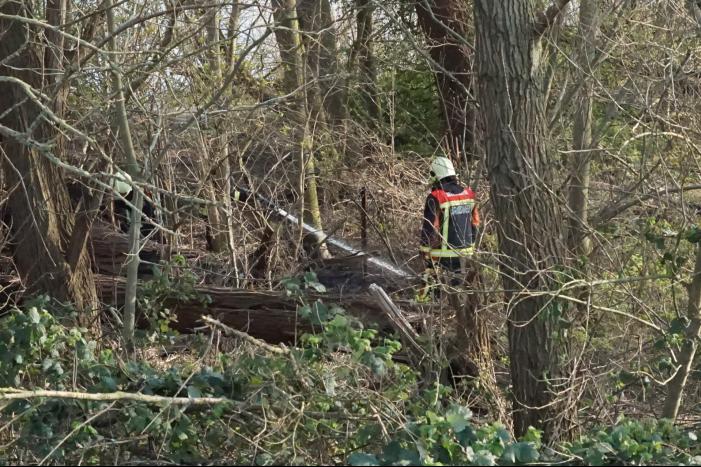 Bosschage langs rivier de Lek in brand