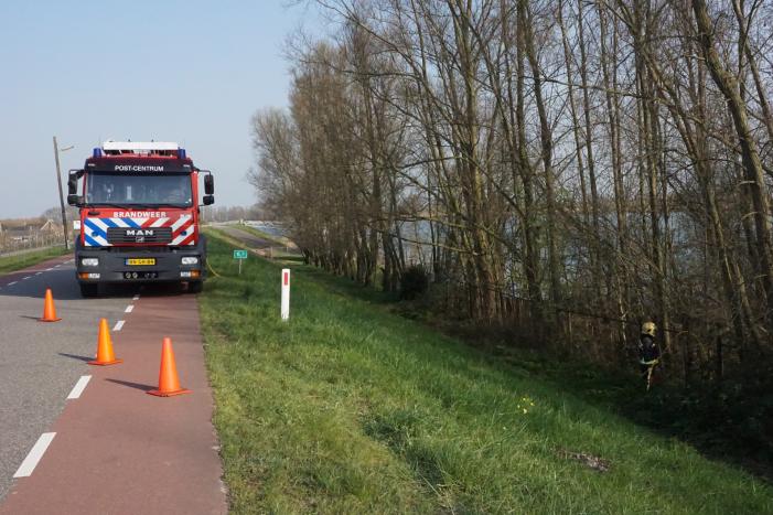 Bosschage langs rivier de Lek in brand