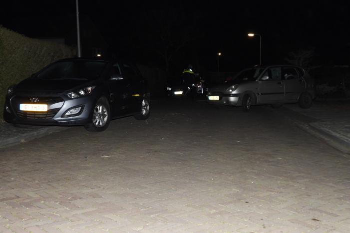 Automobilist ramt geparkeerde auto's