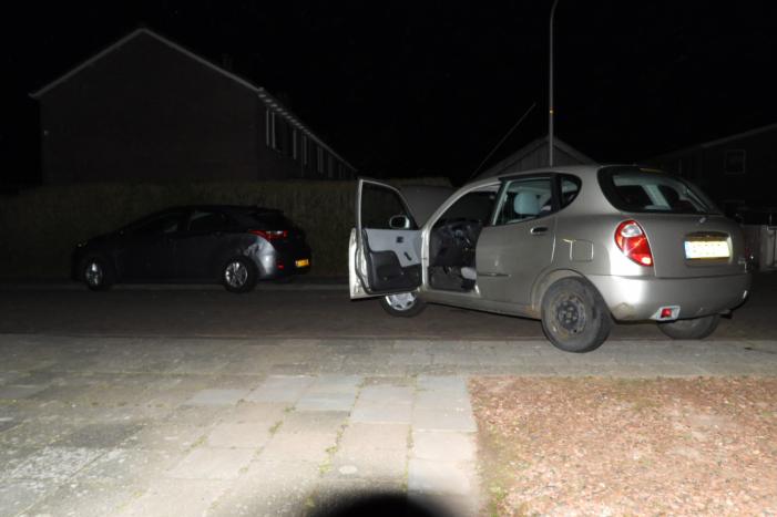 Automobilist ramt geparkeerde auto's