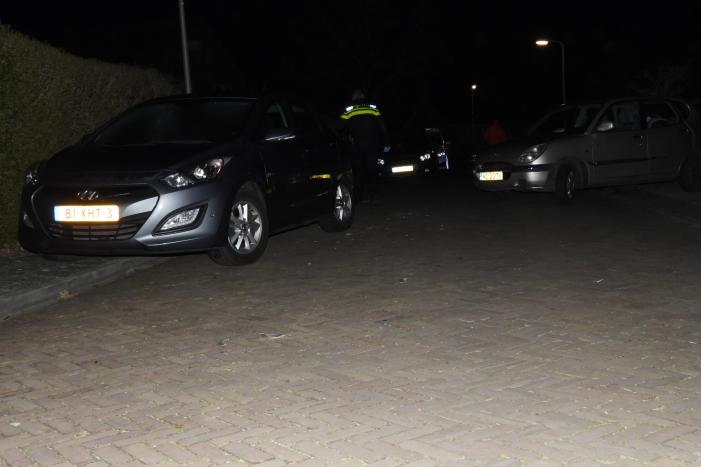 Automobilist ramt geparkeerde auto's