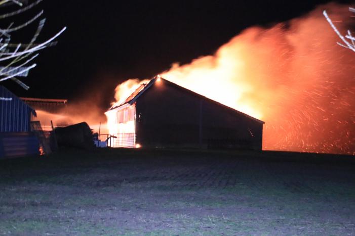 Grote brand in loods varkenshouderij