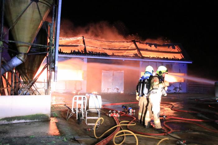 Grote brand in loods varkenshouderij