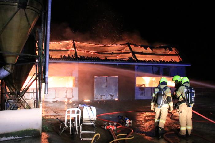 Grote brand in loods varkenshouderij