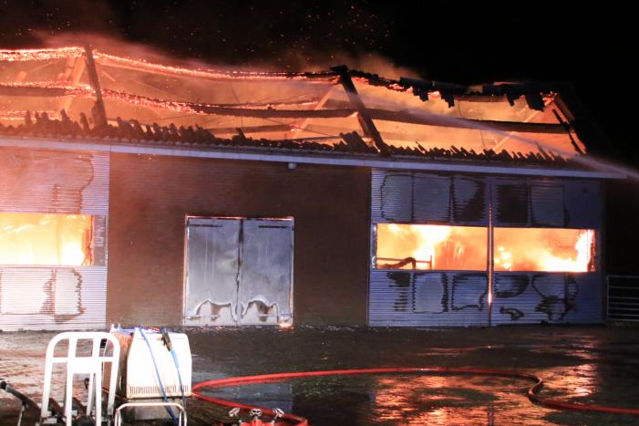 Grote brand in loods varkenshouderij