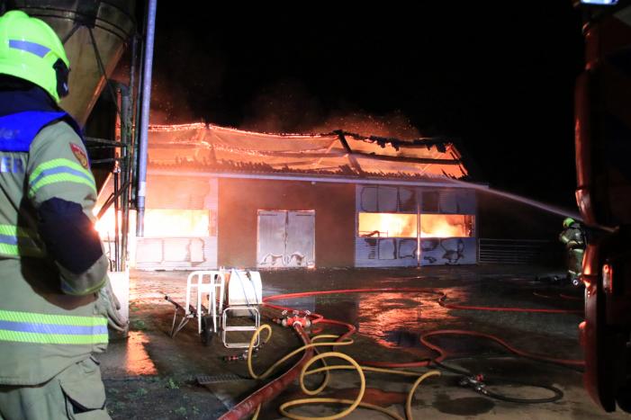 Grote brand in loods varkenshouderij