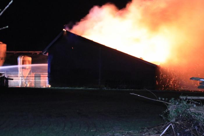 Grote brand in loods varkenshouderij
