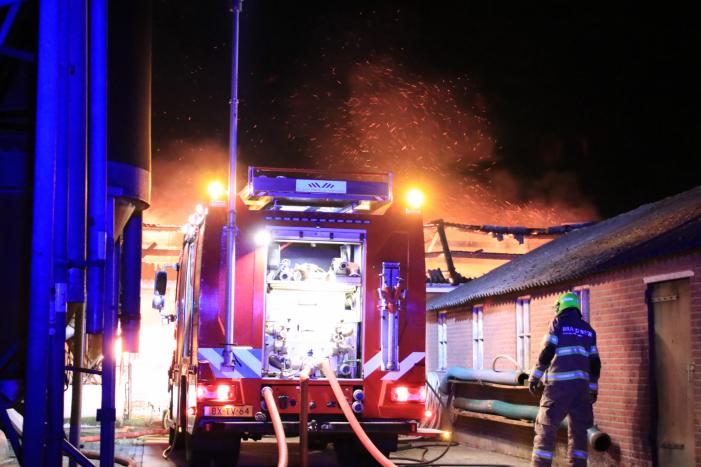Grote brand in loods varkenshouderij