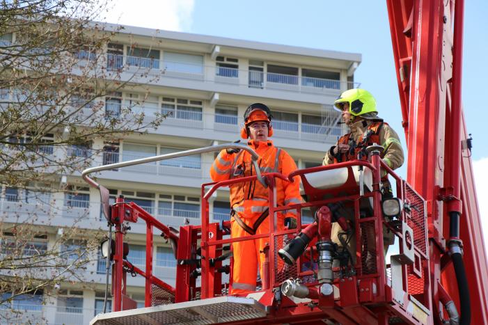 Grote tak dreigt op geparkeerde auto's te vallen