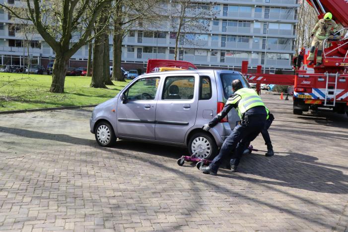Grote tak dreigt op geparkeerde auto's te vallen