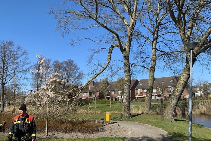 Flinke tak afgebroken door storm