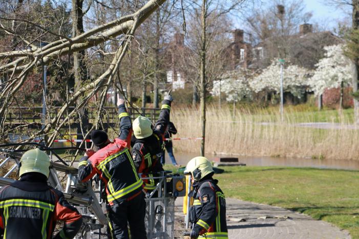 Flinke tak afgebroken door storm