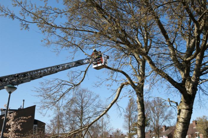 Flinke tak afgebroken door storm