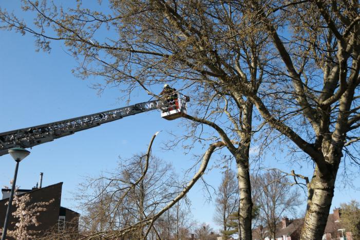 Flinke tak afgebroken door storm