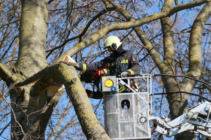 Flinke tak afgebroken door storm