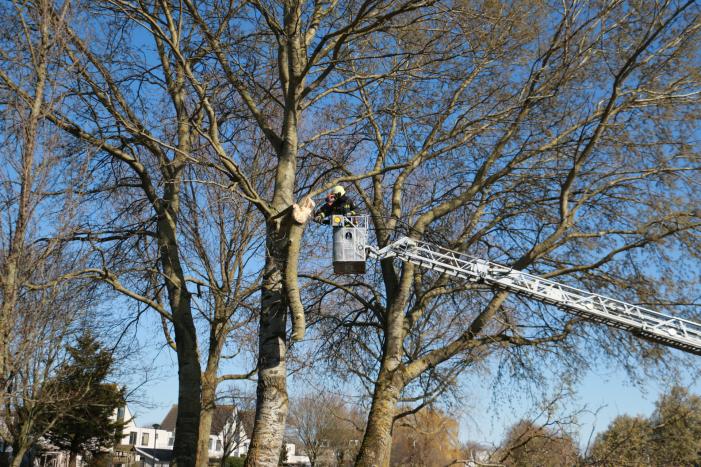 Flinke tak afgebroken door storm