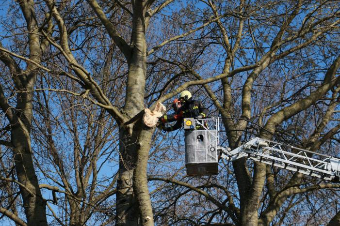 Flinke tak afgebroken door storm
