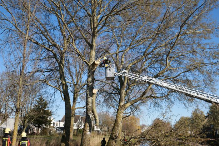 Flinke tak afgebroken door storm