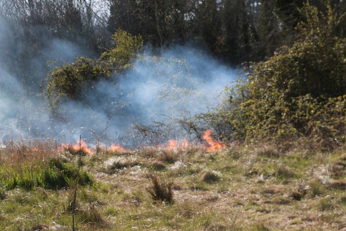 Stuk natuur achter bouwterrein in brand gestoken