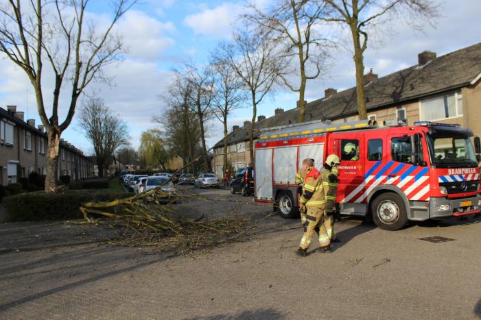 Grote tak breekt af door harde wind