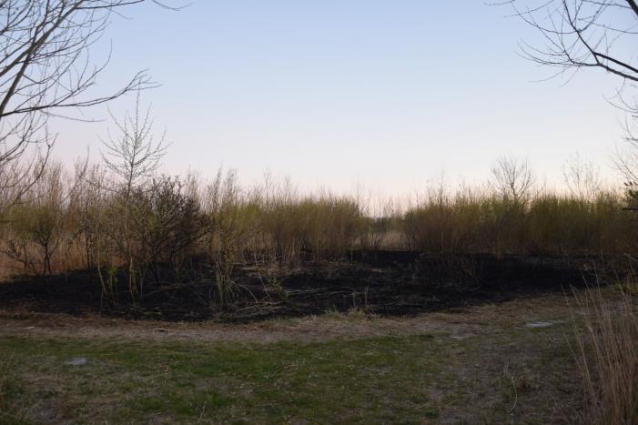 Stuk duingebied langs kust in brand