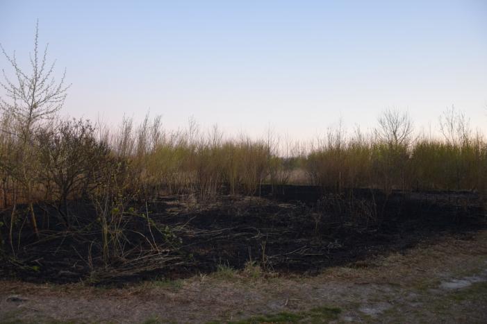 Stuk duingebied langs kust in brand