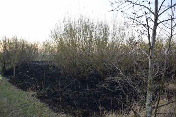 Stuk duingebied langs kust in brand