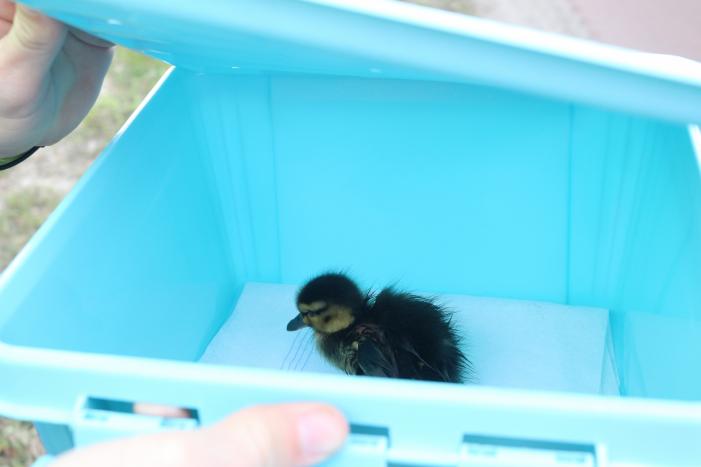 Tractieweg 112 nieuws Utrecht 