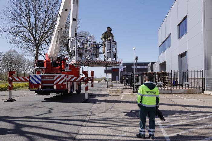 Voorbijgangers vinden dode zwaan in boom
