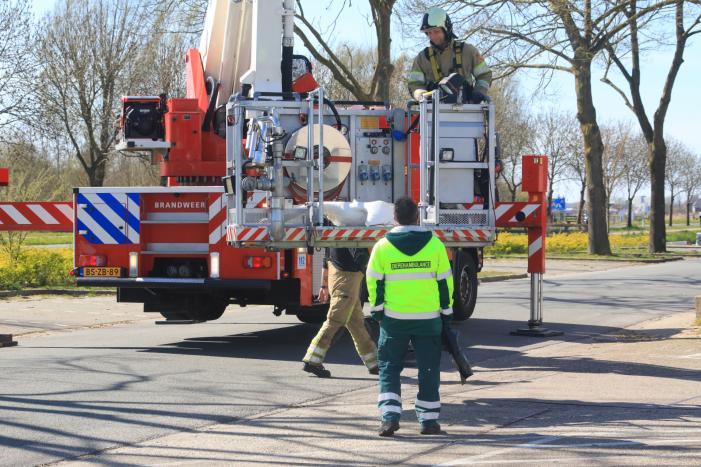 Voorbijgangers vinden dode zwaan in boom